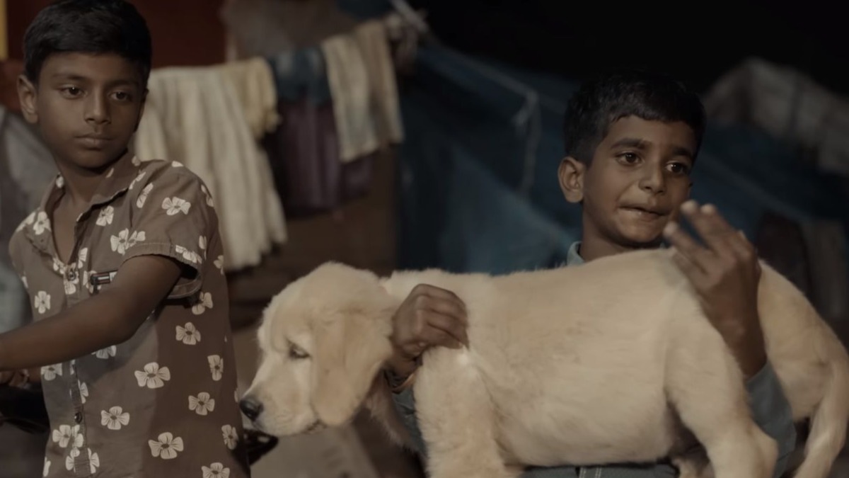 Puppy out on OTT: Kannada film on a little dog and its bond with a young boy is now streaming