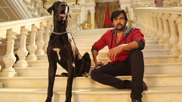 Late Chiranjeevi Sarja’s last film, Rajamarthanda, gets a release date