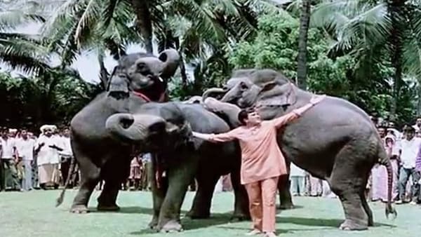 Raju with his companions, including his favourite tusker, Ramu