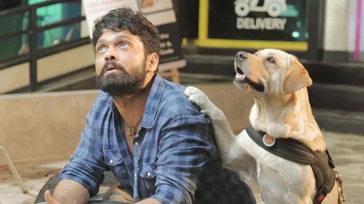 777 Charlie on OTT: Rakshit Shetty’s film is dropping in other languages too, but on rent, though