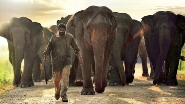 Rana Dabbubati with his pack of elephants in Haathi Mera Saathi