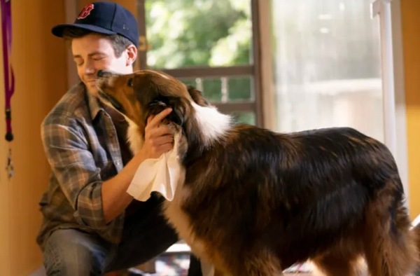 Grant Gustin in a still from the film