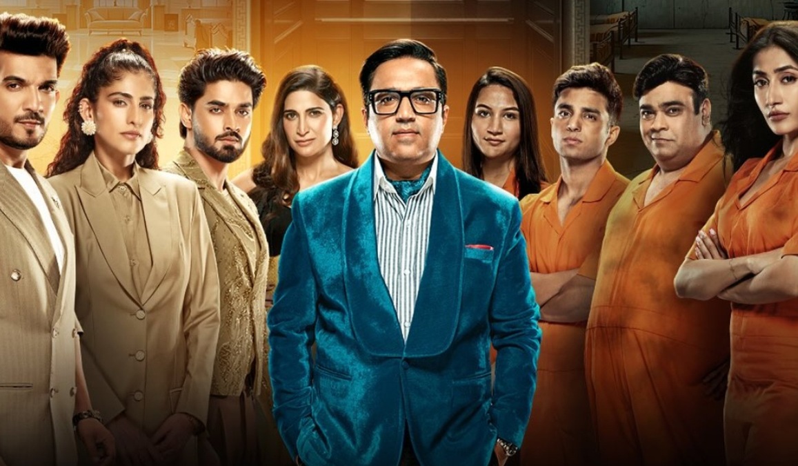 Rise and Fall: Where to watch, full contestants list, and more about Ashneer Grover's new reality show