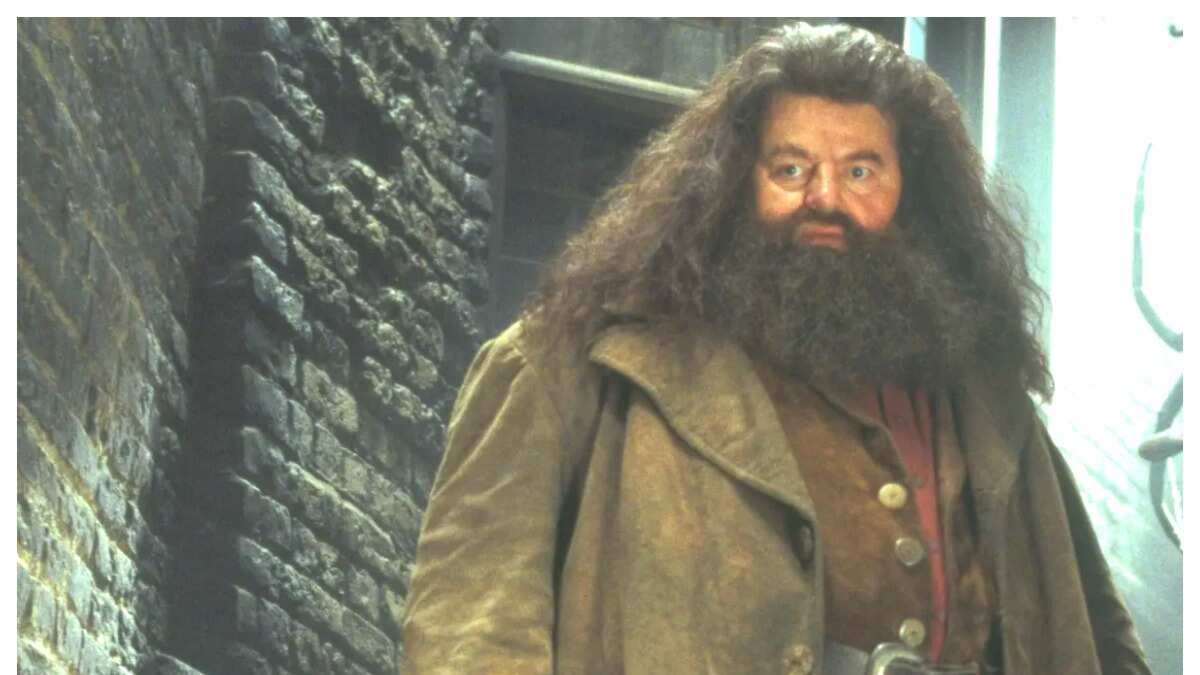 Harry Potter Actor Robbie Coltrane’s Cause Of Death Revealed