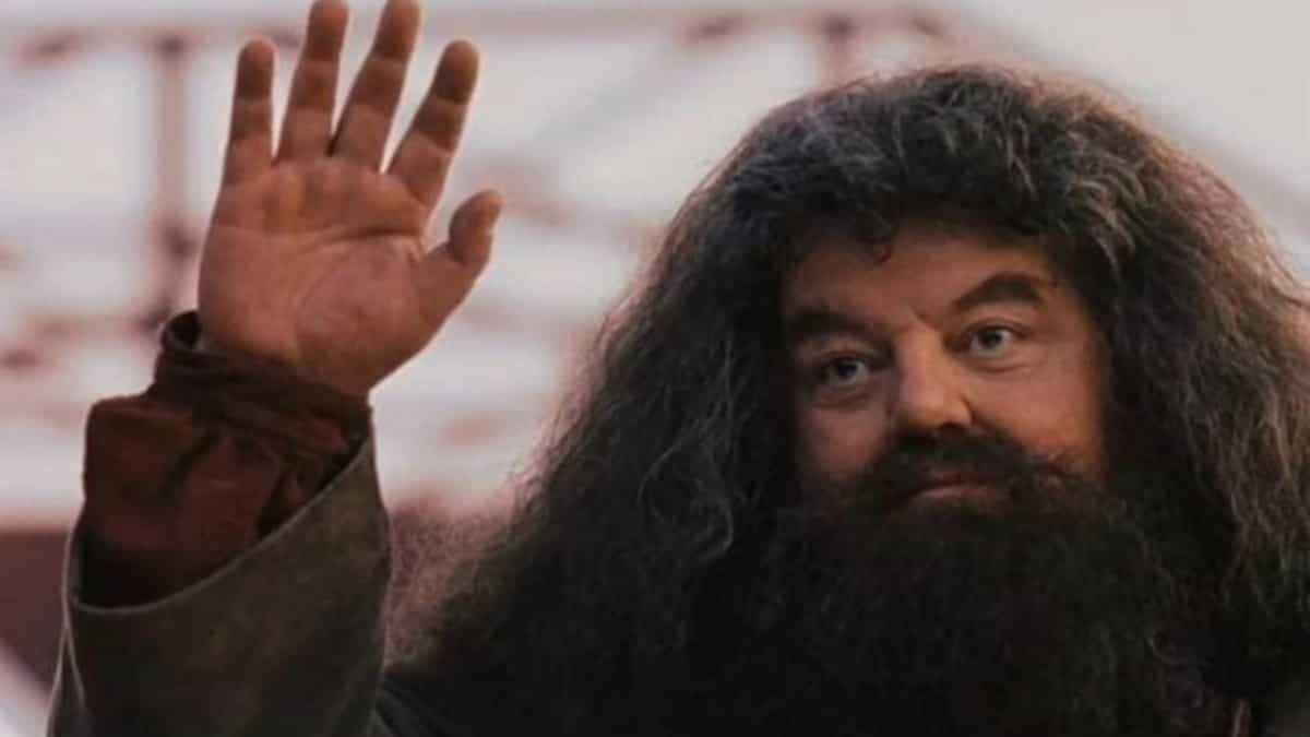 Robbie Coltrane, The Actor Who Played Hagrid In The Harry Potter Films ...