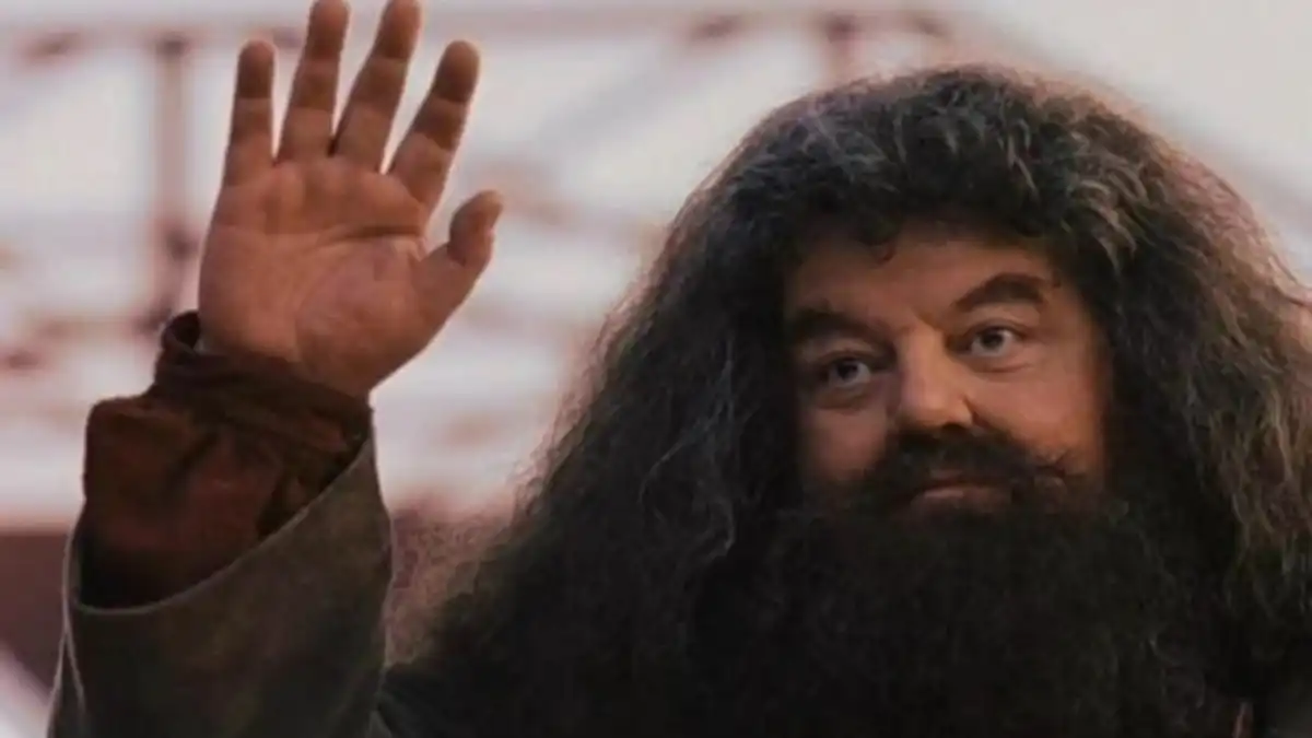 Robbie Coltrane, the actor who played Hagrid in the Harry Potter films, passes away