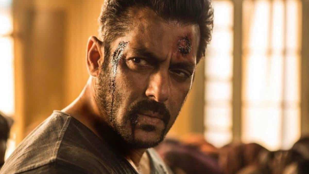 Tiger 3: YRF's Salman Khan-Katrina Kaif Starrer Is Frustrating ...