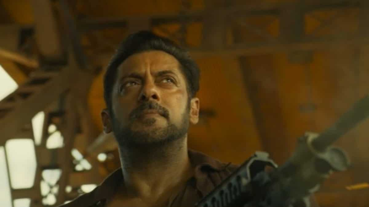 Goosebumps Fans Hail Tiger Ka Message Starring Salman Khan From Tiger 3 6418