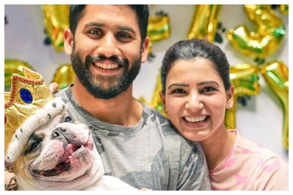 Post separation, Naga Chaitanya and Samantha fulfill parental duties of their pet Hash