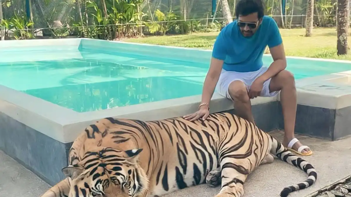 Santhanam's love for tiger lands him in a soup, draws flak from netizens for a video he clicked with the animal