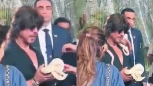Shah Rukh Khan stays calm as he holds a snake handed to him by Anant Ambani; watch viral video