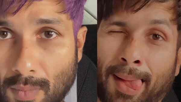 Kabir Singh after seeing Barbie: Jab Shahid Kapoor fooled his followers into believing he dyed his hair purple – their reactions