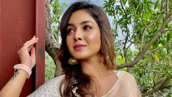 Sharly Modak is back as a ‘bad’ woman in the serial Phulki