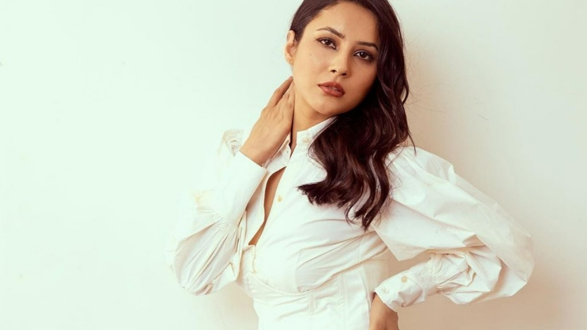 Shehnaaz Gill finally opens up on dealing with Sidharth Shukla’s sudden demise alone: I never want to come across as weak