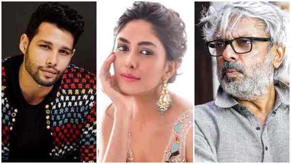 Siddhant Chaturvedi to romance Mrunal Thakur in Sanjay Leela Bhansali's romantic drama