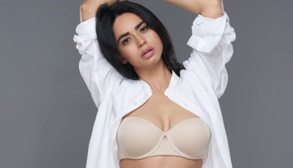 Soundarya Sharma: All you need to know about the Bigg Boss 16 contestant