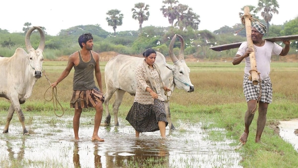 Still from Bison Kaalamaadan.