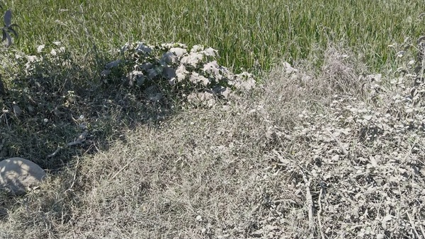 Still from Changing Landscape.