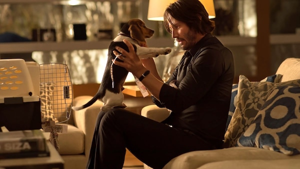 Still from John Wick (2014).
