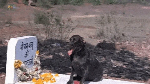 Stills from Teri Meherbaniyan.