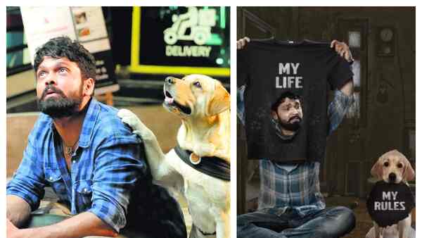 777 Charlie: This Rakshit Shetty film, featuring a female Labrador, is all heart