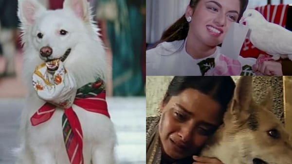 #FriendshipDay2022: When Bollywood celebrated the human-animal bond with some endearing pet-time stories