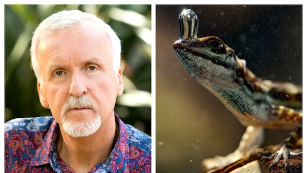 James Cameron comes up with a six-part series Super/Natural before the release of the new Avatar