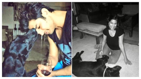 Sushant Singh Rajput's pet dog Fudge dies, fans say, 'They are reunited now in heaven'