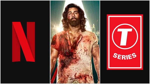Animal OTT release in legal soup; Delhi HC summons T-Series and Netflix as co-producer seeks stay on its digital release – Everything about the row