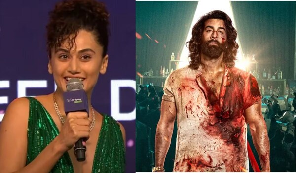 Taapsee Pannu reveals the reason why she would not have done Sandeep Reddy Vanga's Animal