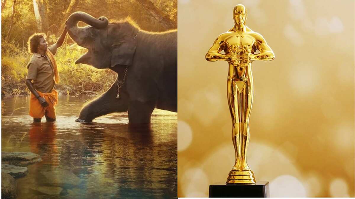 Oscars 2023 Indian film The Elephant Whisperers wins Best Documentary