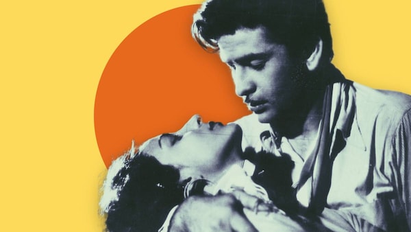 The legacy of Kapoor is set for another long innings under the arclights of posterity.