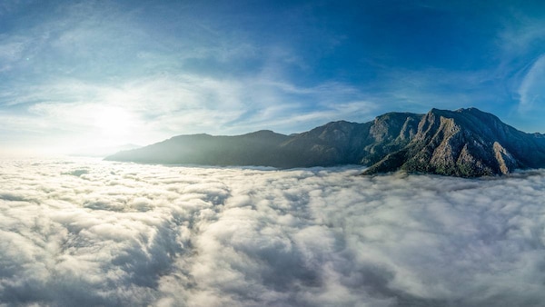 The Nilgiris. Photo courtesy Robin Darius Conz via Felis Images