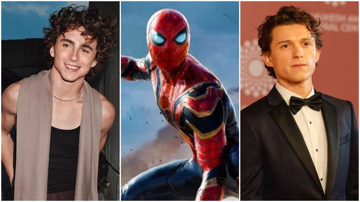 Spider-Man: Timothée Chalamet gave auditions to play Peter Parker twice before being reportedly considered for Harry Osborn years later - Did you know?