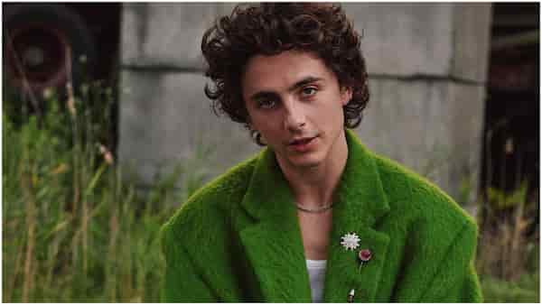 Timothee Chalamet Rumored To Play Harry Osborn In Spider-Man 4