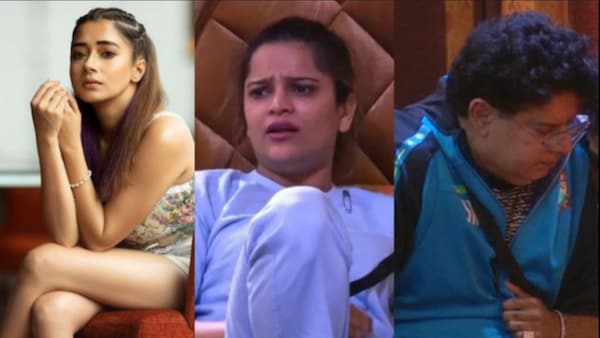 Bigg Boss 16 November 23, 2022 written update: Archana occurs a huge fight, Tina calls her psycho', Sajid says she is 'pain in the neck'