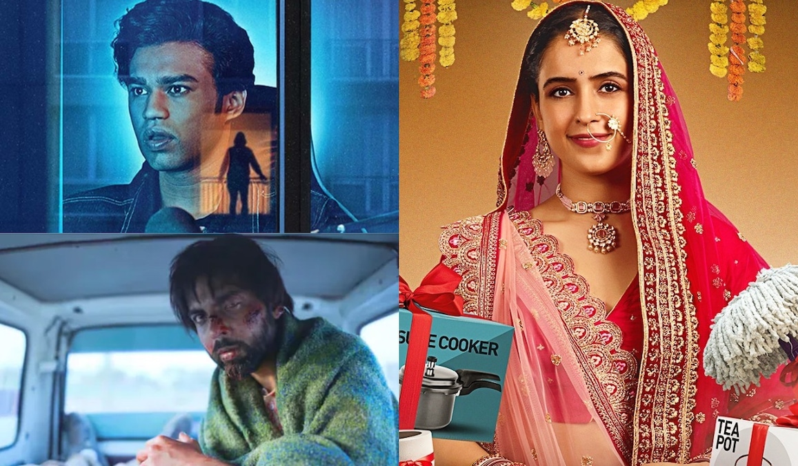 15 Best Standout performances on OTT in 2025: From Sanya Malhotra in Mrs to Babil Khan in Logout and Abhishek Banerjee in Stolen