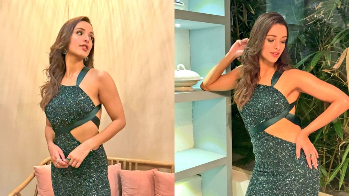 Animal star Triptii Dimri impresses with her scintillating dance moves at a party; watch video