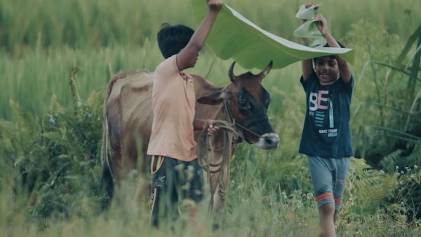 A still from Valavaara