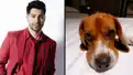 On the set of Bawaal in Poland, all that Varun Dhawan misses is his beloved dog Joey