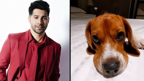 On the set of Bawaal in Poland, all that Varun Dhawan misses is his beloved dog Joey
