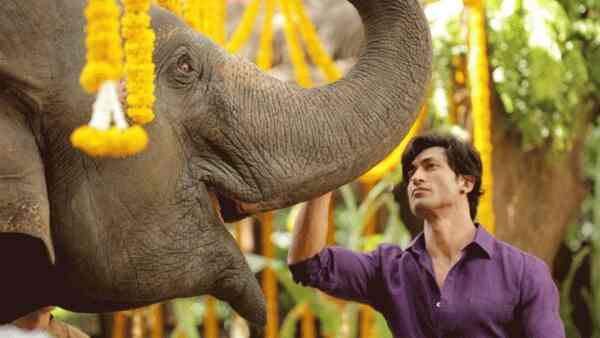 Vidyut Jammwal in Junglee