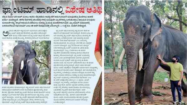 Vikrant Rona and the mysterious case of the missing elephant