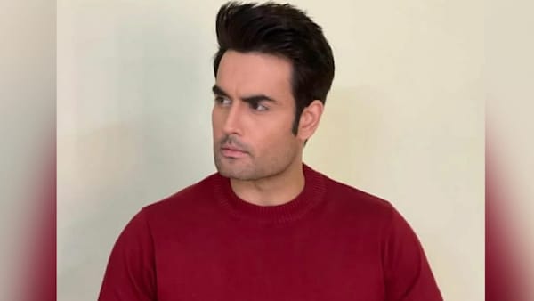 Is Vivian Dsena a contestant on Bigg Boss 16? Here is what the actor says