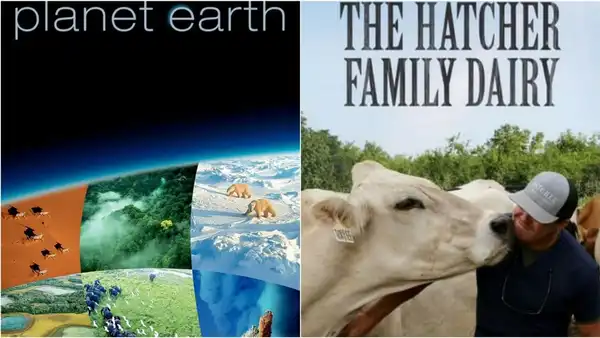 Top Documentary web series on Prime Video watch online