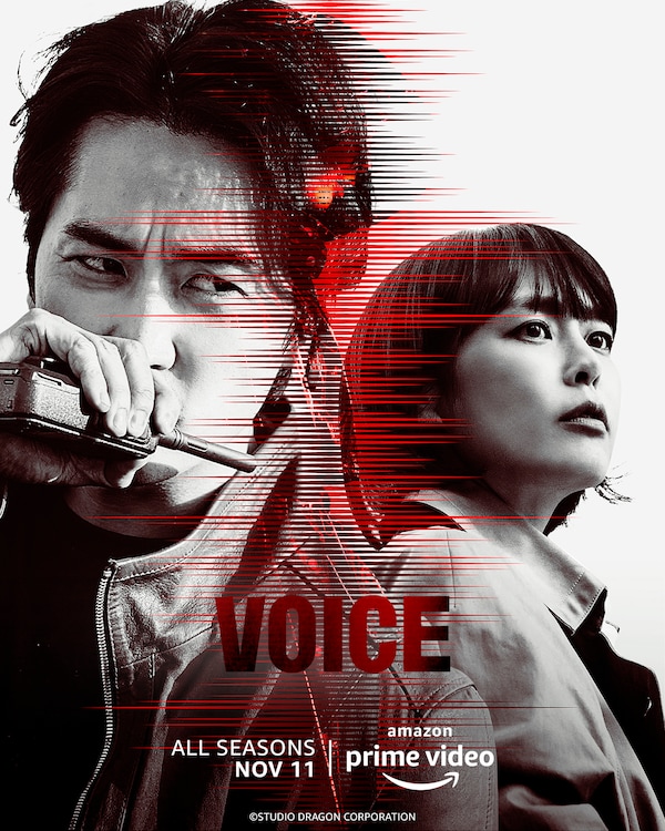 Voice