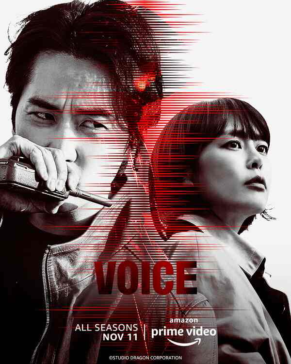 Voice