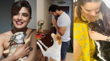 International Dogs Day: Priyanka Chopra to Salman Khan, check out these  Bollywood celebs with their furry