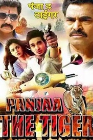 Panja - The Tiger
