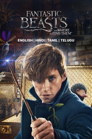 Fantastic Beasts And Where To Find Them